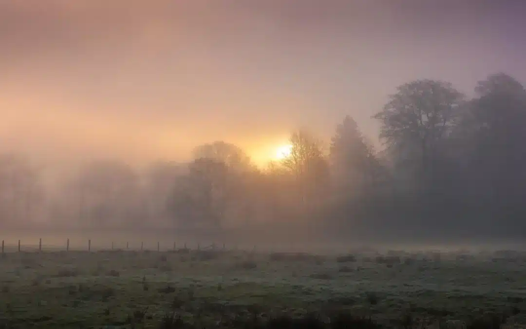 Explorez les Ardennes belges : villages, châteaux et nature sauvage