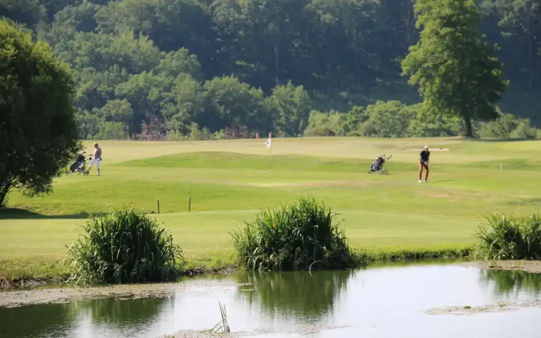 Le golf du Haras : 9 trous, restaurant italien & hébergement