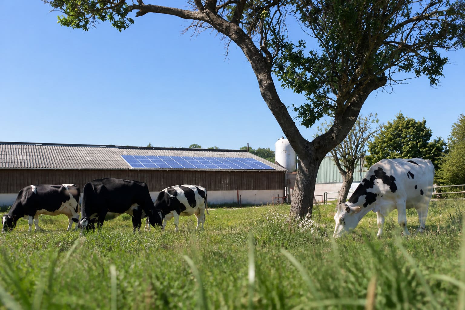 Séjourner à la Ferme du Petit Breuil pour vivre le terroir